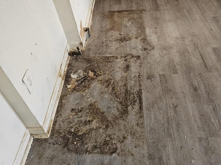 Floor Cleaning - Before